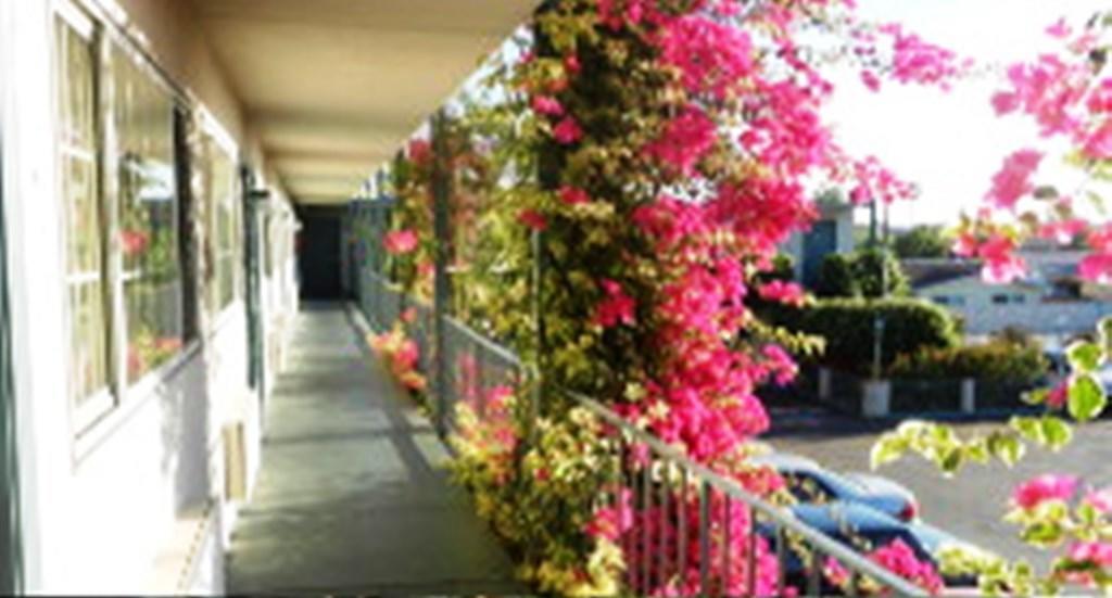 Antioch Executive Inn 外观 照片